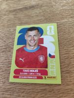 Panini Wm 2026 Cze 7