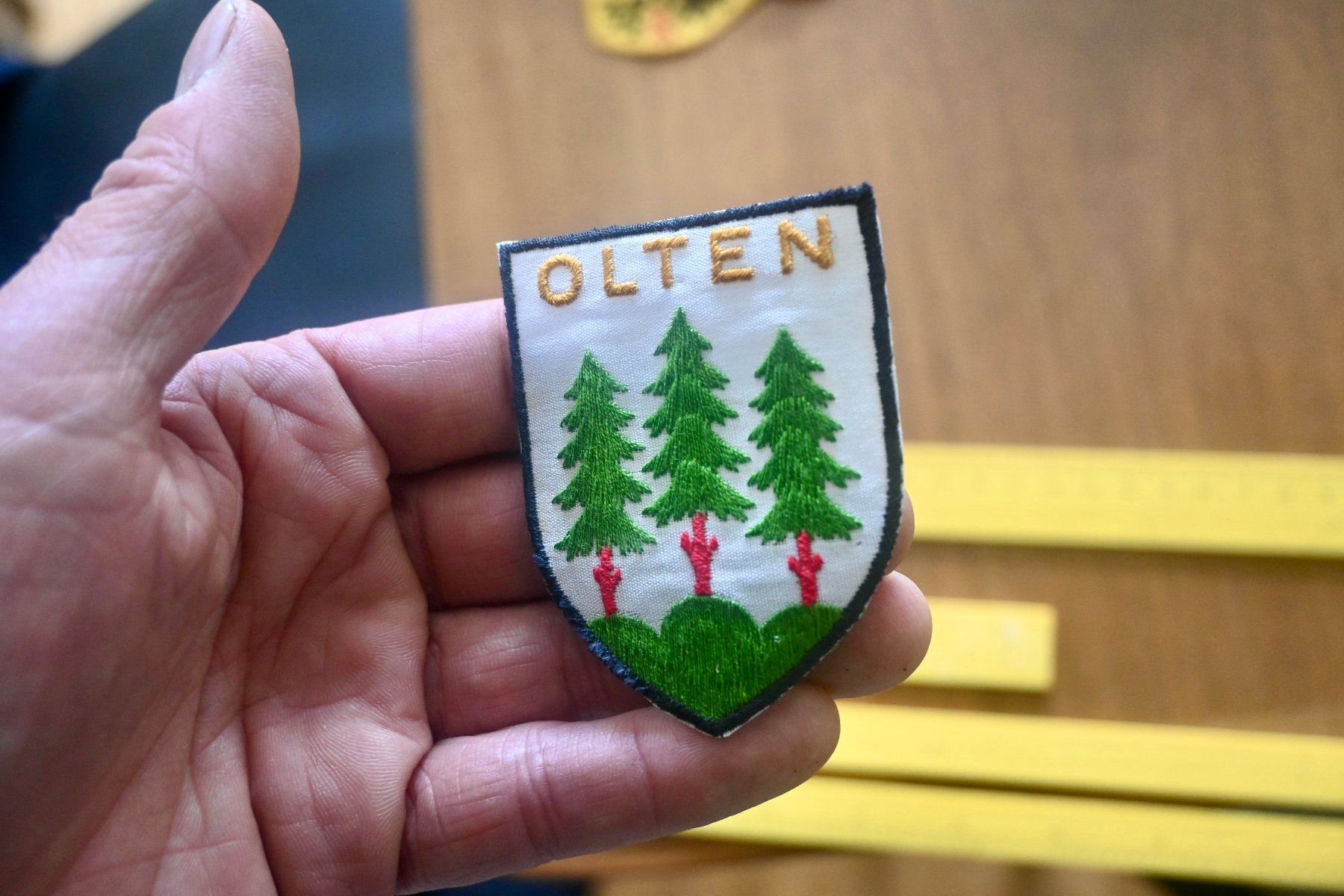 Swiss Placchette & Badge: VINTAGE Badge Wappen OLTEN – Usato da Pfaffhausen venduto da mono_rec 3