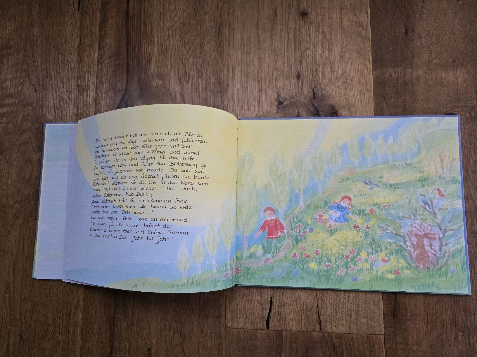 Libri: vom traum des osterhasen bilderbuch – Usato da Wittenbach venduto da Tigerlili 9