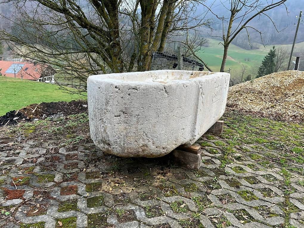 Teiche & Zierbrunnen: Antiker Brunnen Jurakalk – Gebraucht aus stüsslingen von sime91 1