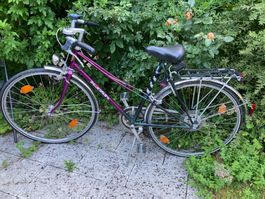 Damenvelo lila 28 Zoll, 5 Gänge