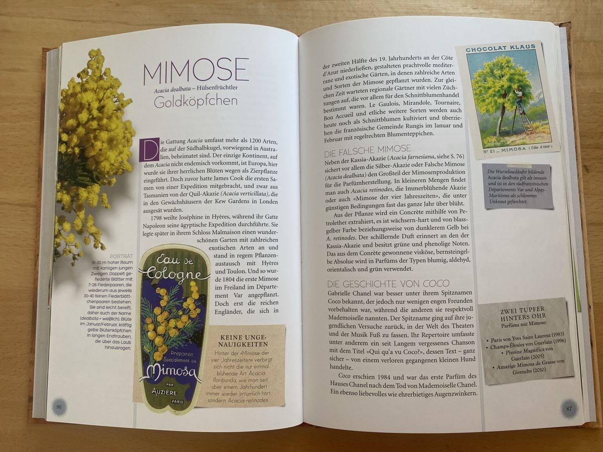 Libri: Parfüm-Pflanzen - Serge Schall – Usato da Schwarzenburg venduto da Michellu 9