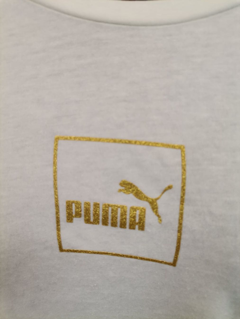 Puma T-Shirts: PUMA T'Shirt – Neu (gemäss Beschreibung) aus Schaffhausen von Restwert_SH 5