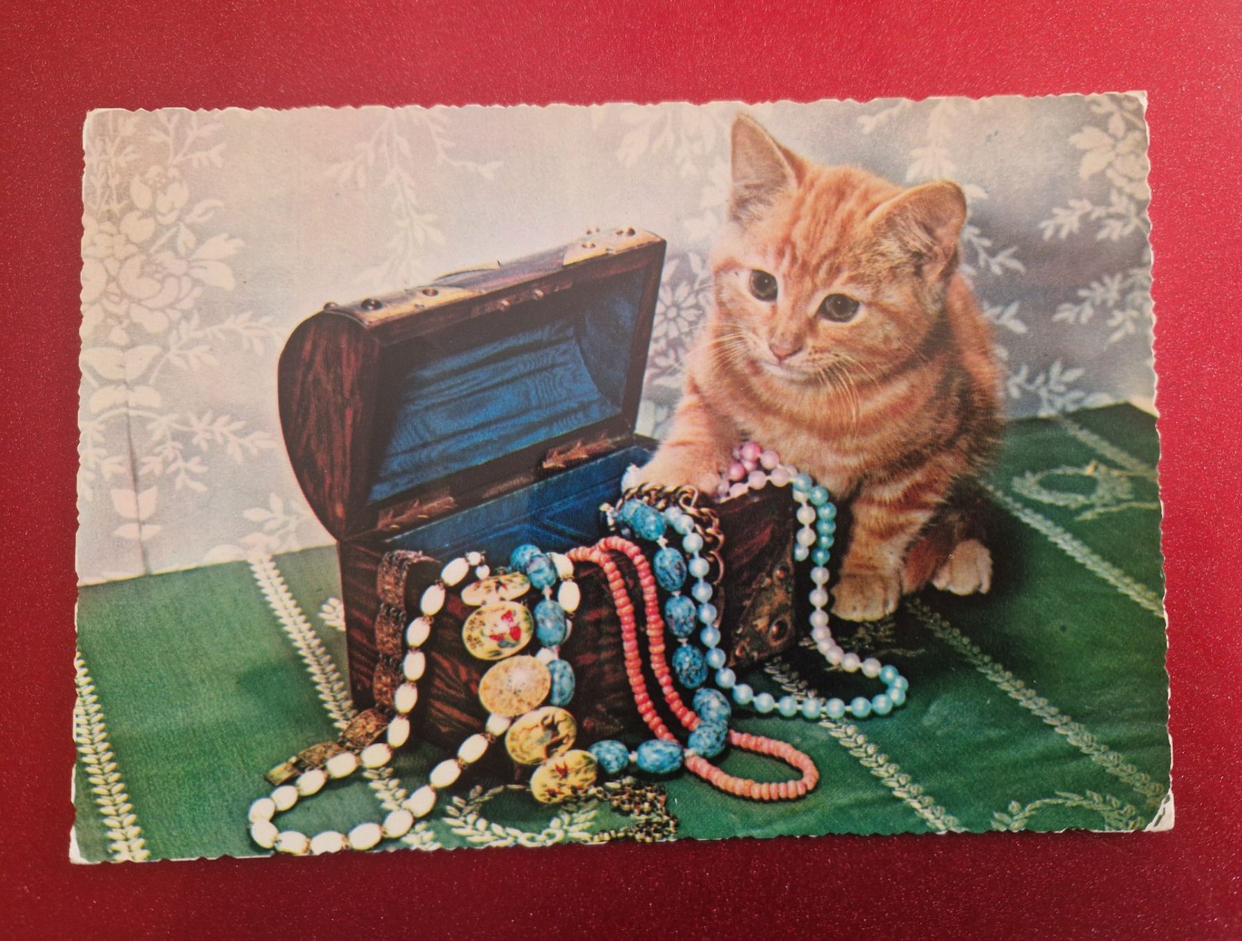 Ansichtskarten: "Kätzchen mit Schmuck" 1968 Vintage rar – Gebraucht aus Melchnau von Fishel