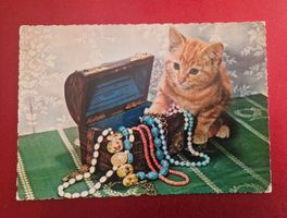 "Kätzchen mit Schmuck" 1968 Vintage Rarität!