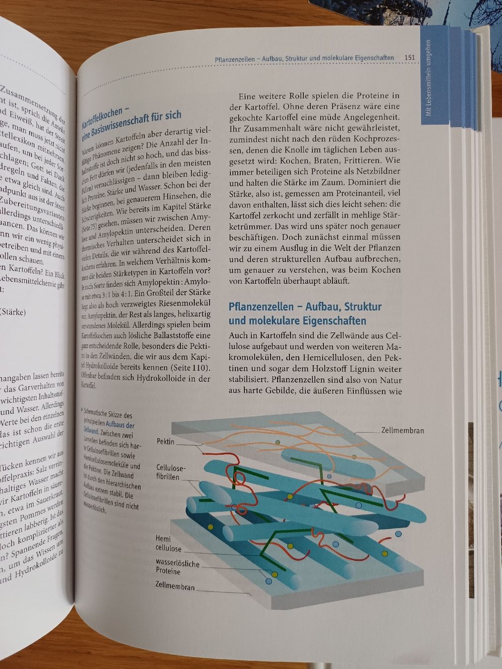 Libri: Das Molekül Menü – Usato da Schwerzenbach venduto da mss_66gb 3