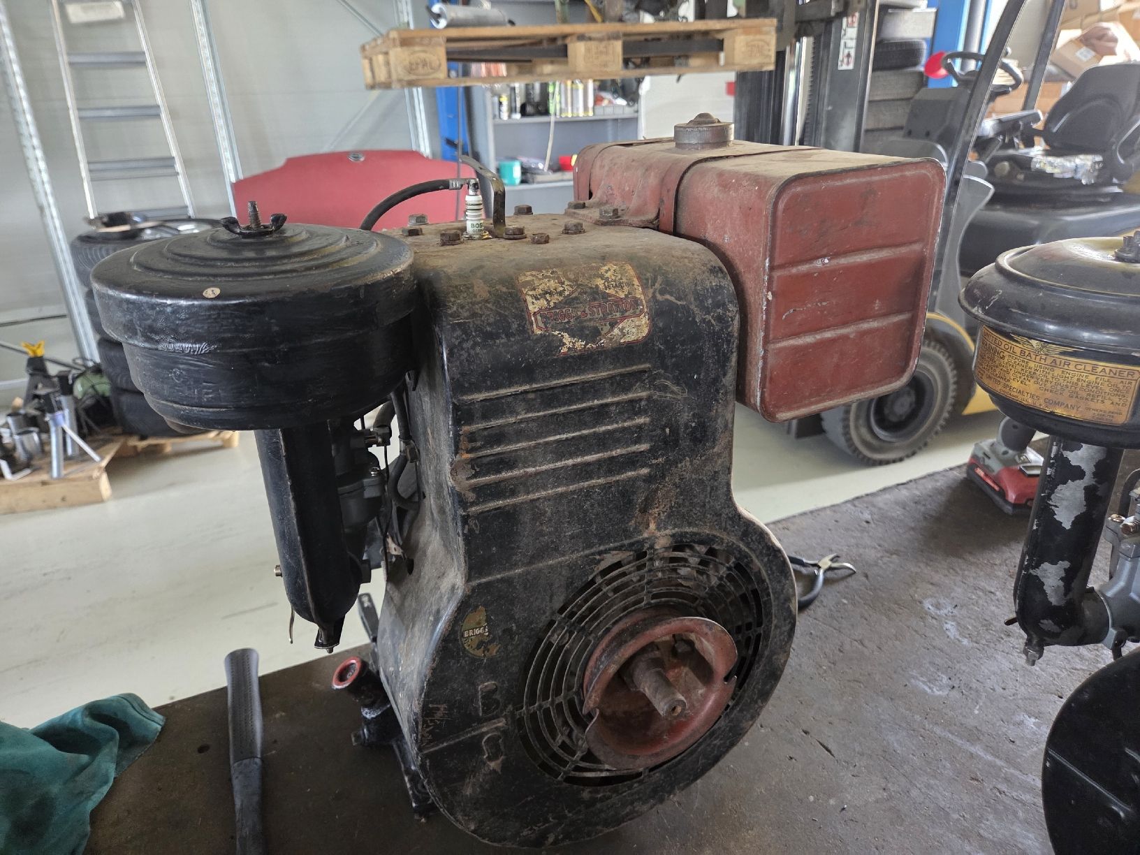 Motori: Briggs & Stratton Model 24 10HP – Usato da Böbikon venduto da Domplex