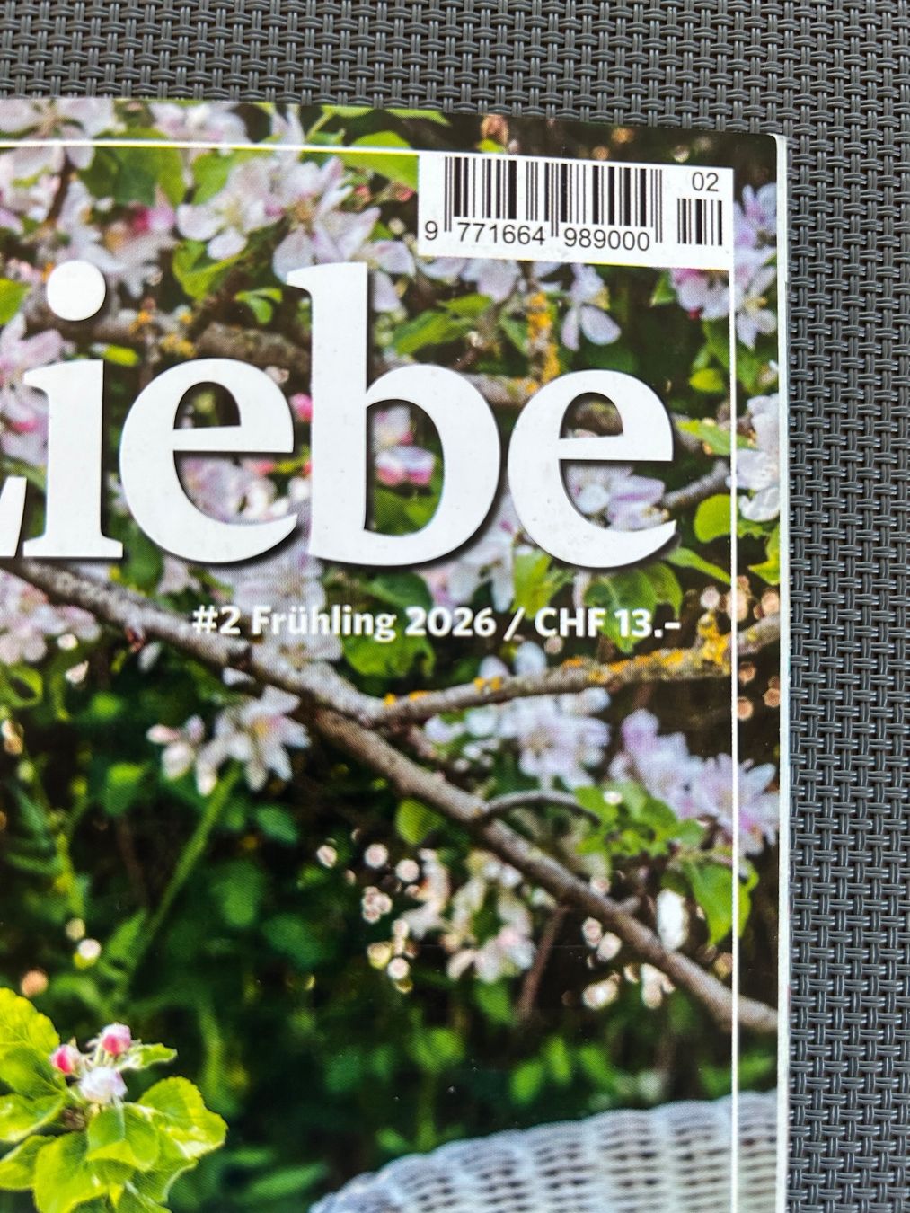 Riviste & Magazine: Magazin Landliebe Frühling 2026 – Usato da Obergösgen venduto da Andre118 1