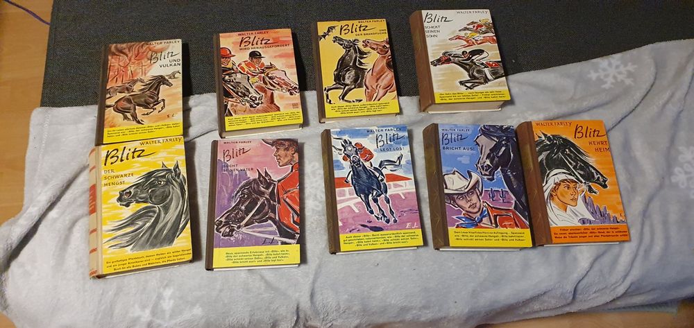 Original Blitz Bücher von 1945 (Gebraucht) in Amriswil für CHF 10 – mit ...