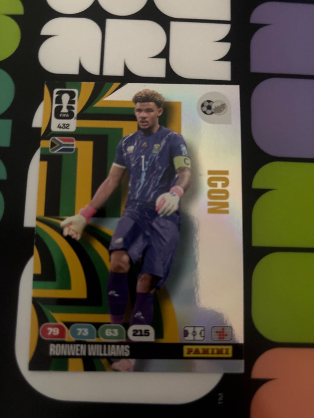 Topps Carte collezionabili: Panini World Cup 2026 Ronwen Williams #432 – Usato da Basel venduto da 19dome87