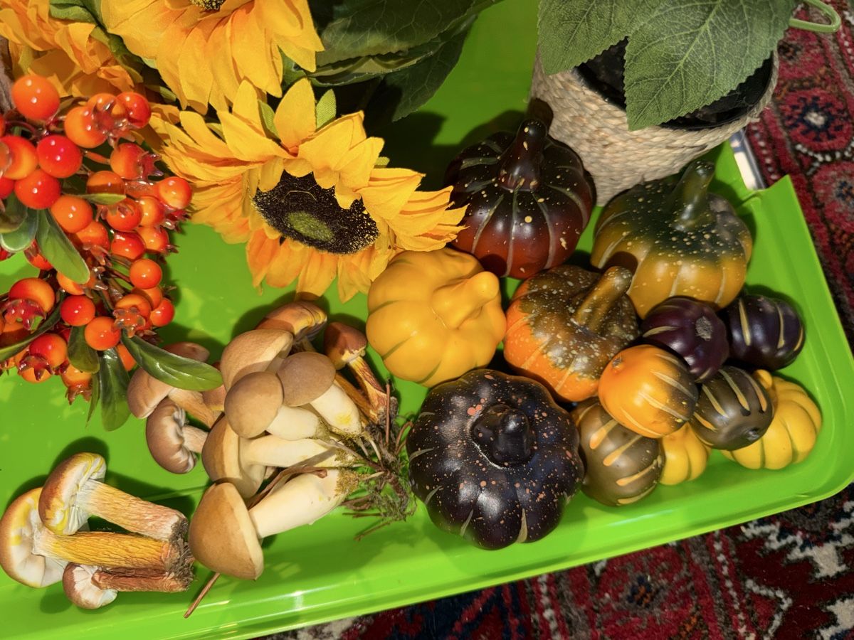 Tutte le decorazioni: Herbst Deko Set: 31-teilig!  – Usato da Pfäffikon ZH venduto da lenaviktoria 3