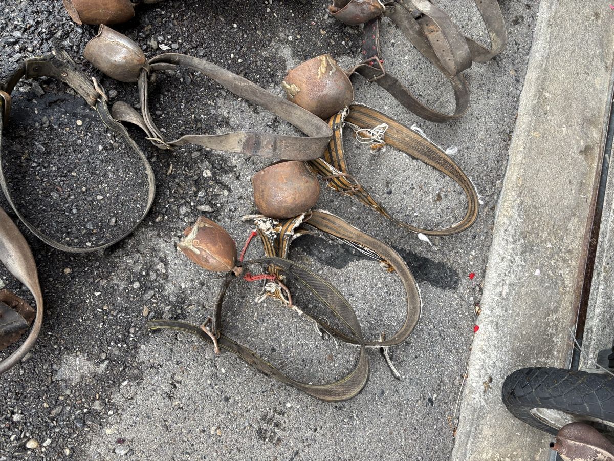 Campanacci mucche: 20 Stk Rindertreicheli – Difettoso da Schangnau venduto da Roseggli82 7