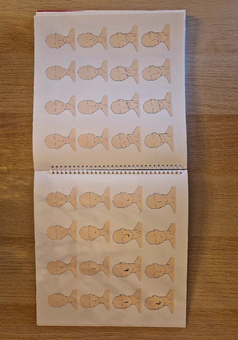 Libri: Dessiner les mangas Shojo – Nuovo (secondo la descrizione) da Châtonnaye venduto da Lyoko02 2