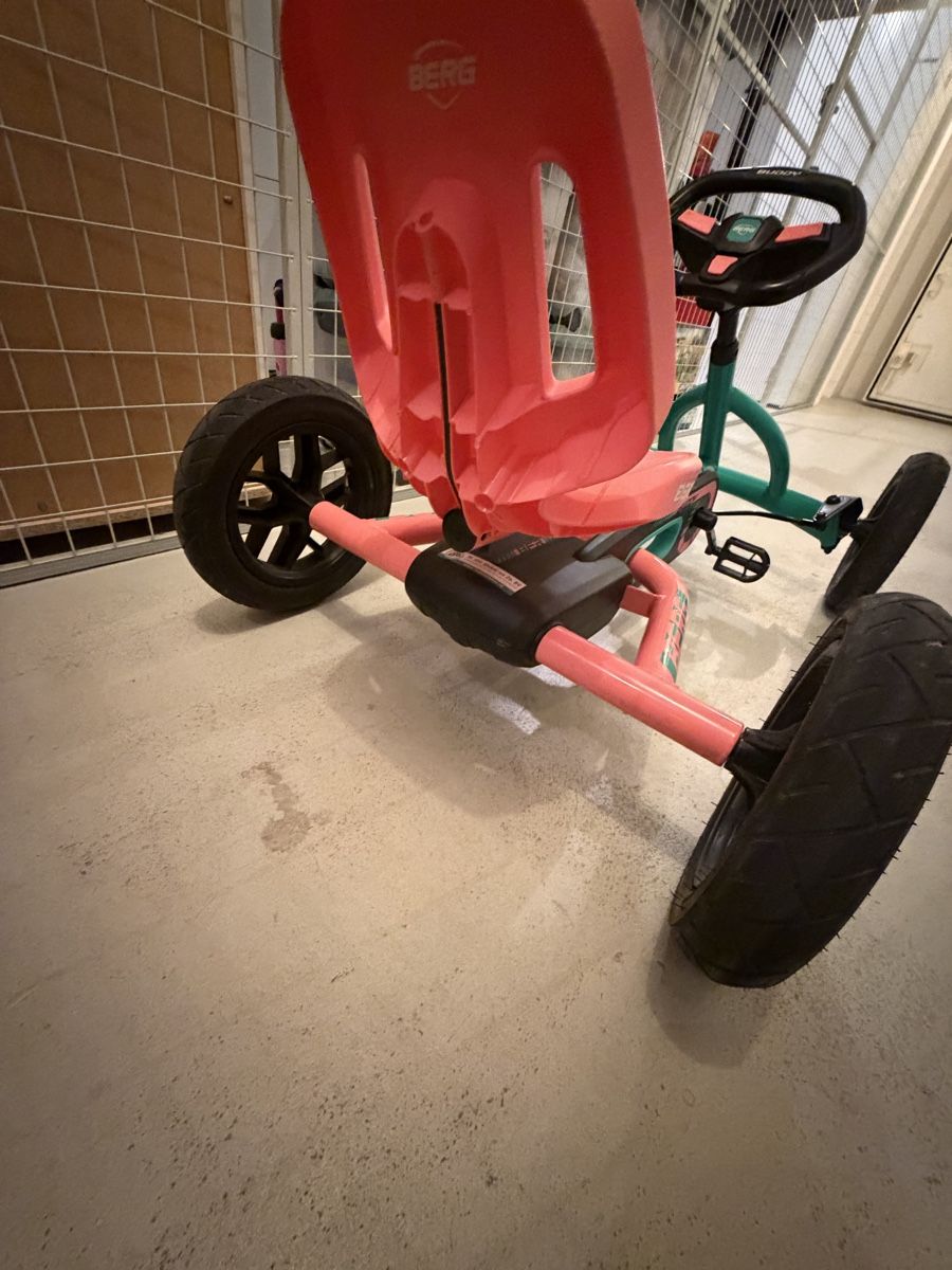 Fahrzeuge für Kinder: BERG Buddy Gokart  – Gebraucht aus Kaltbrunn von san_5rc7 5