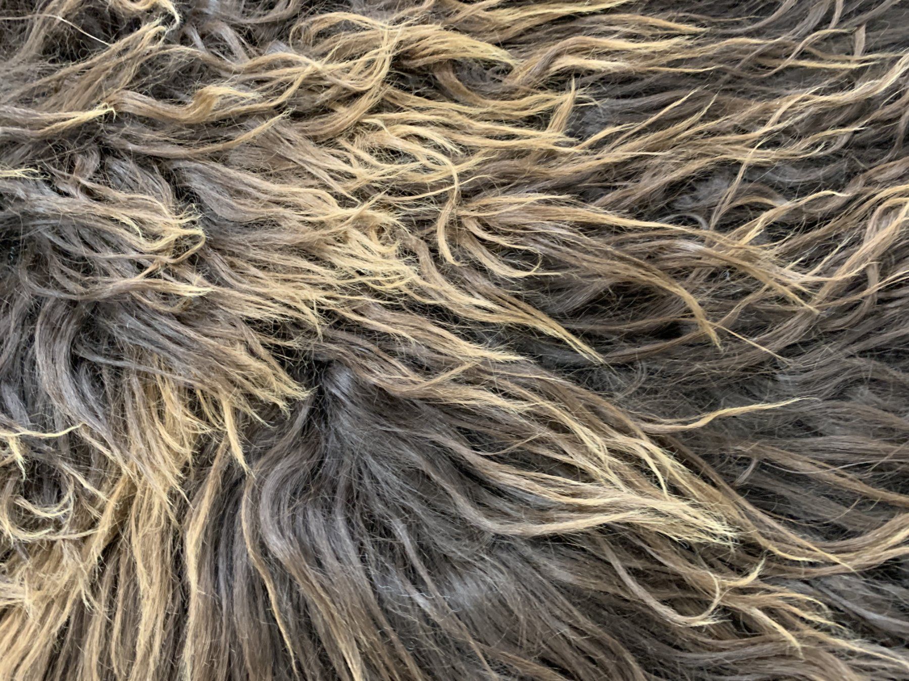 Tappeti: Island lammfell Teppich – Nuovo e nell'imballaggio originale da Arbedo venduto da patagonialeatherrugs 2