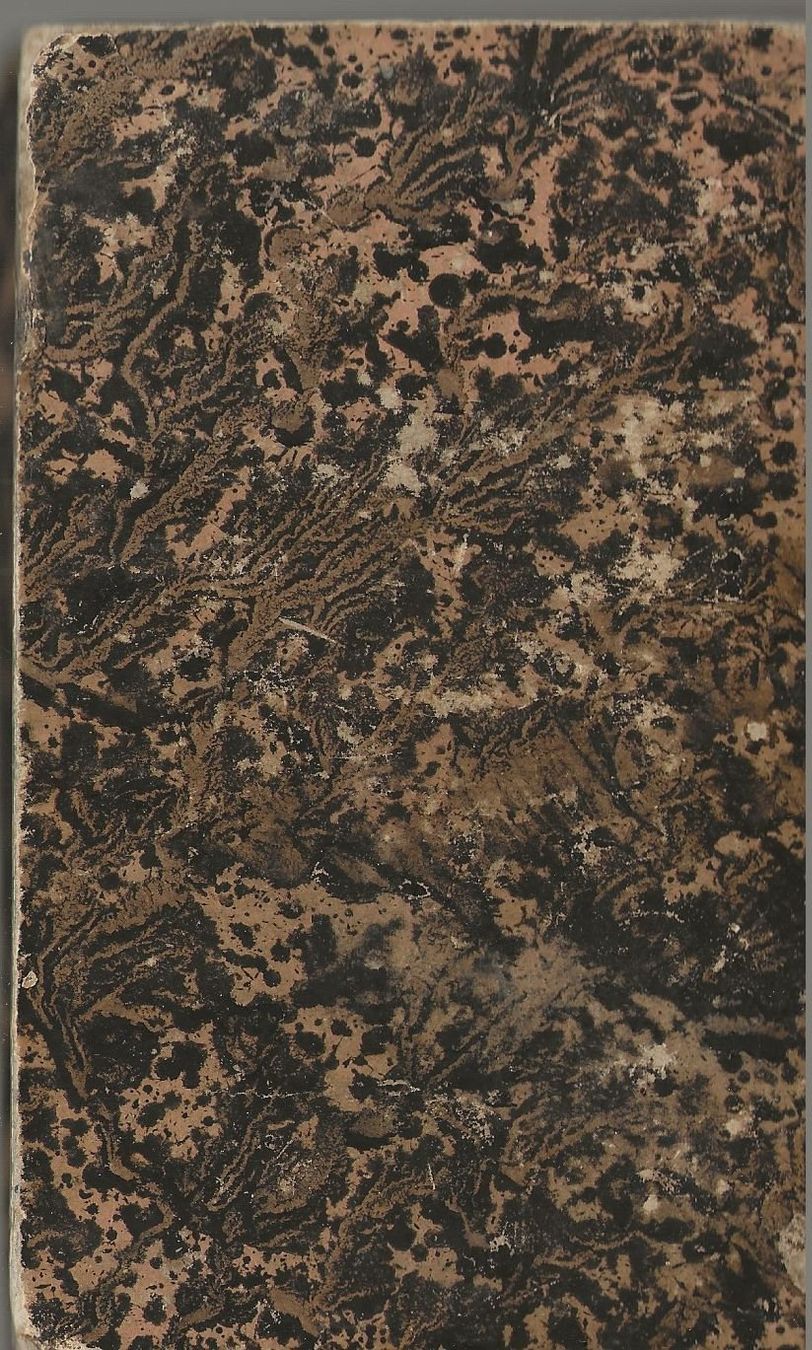Libri: Das Panorama von Bern 1850 – Usato da Bern venduto da Grindelwaldaus 1