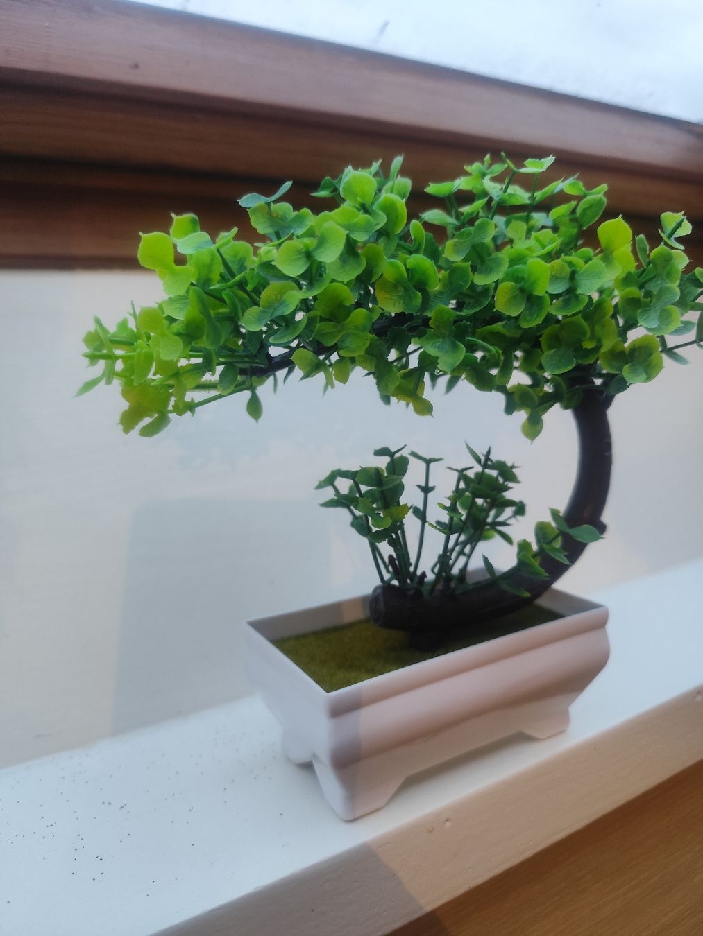 Tutte le decorazioni: Deko Bonsai ca 20cm hoch – Nuovo (secondo la descrizione) da Magden venduto da Fimo29 1
