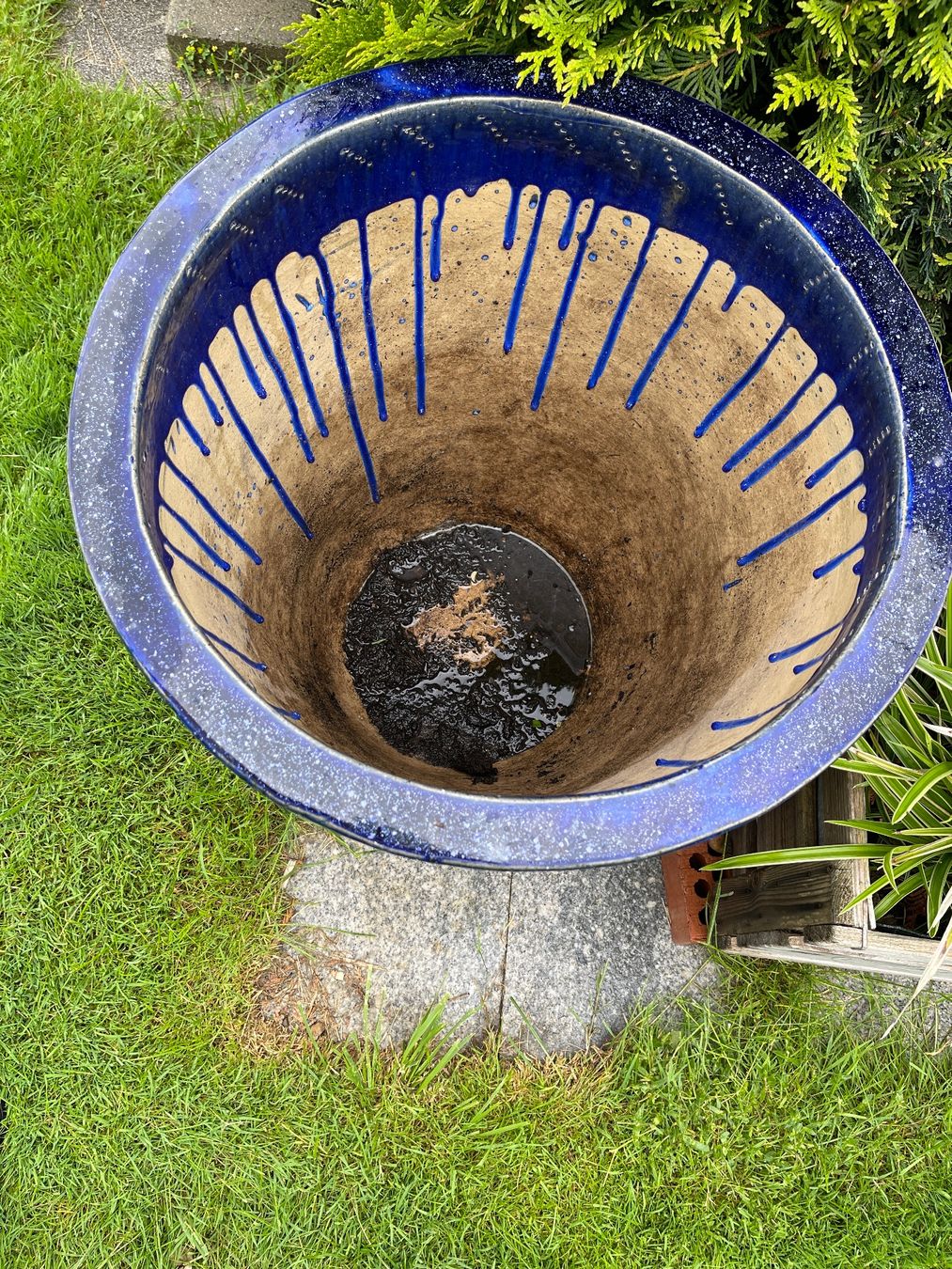 Blumentöpfe: Grosser, blauer Topf / Übertopf für Garten oder Balkon – Gebraucht aus Gutenswil von  1