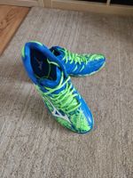 Mizuno Volleyball Shoes, Blue and Green, Size 46 EU