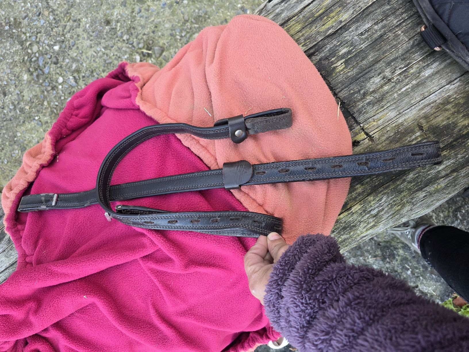 Selle & Accessori: Barefoot Sattel Cherokee Grösse 1 – Usato da Zofingen venduto da MsTina 4
