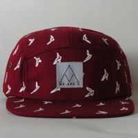 5-Panel Cap von We Are V