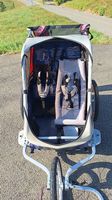 Veloanhänger mit Babyhängematte