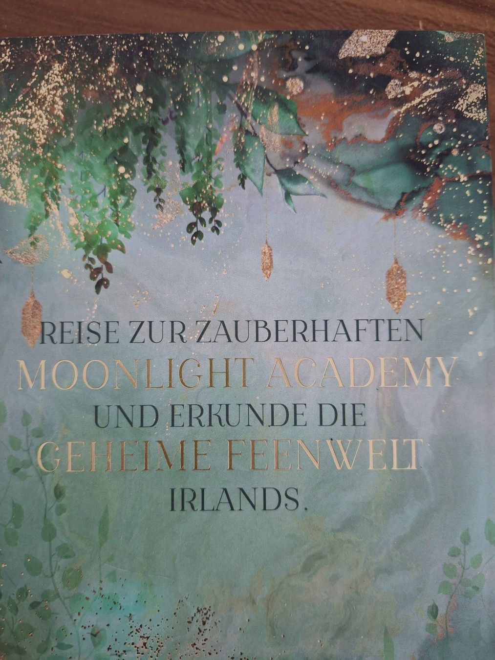 Bücher: Moonlight Academy Band 1  mit Farbschnitt – Gebraucht aus Grenchen von LadyCalis 2