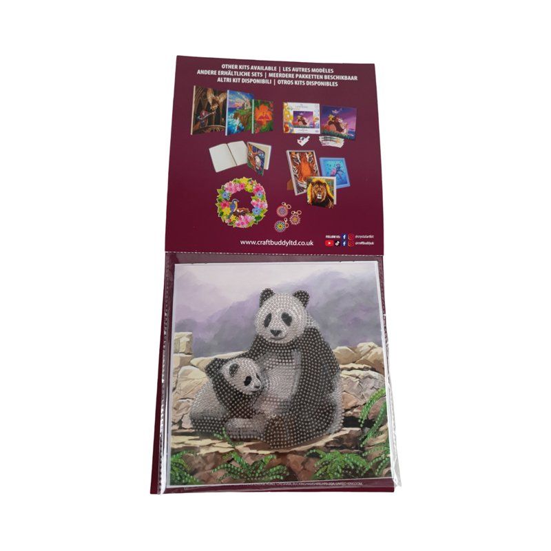 Kit bricolage: Crystal Art Card Kit – Usato da Wangen b. Olten venduto da Restwert_Wangen 2