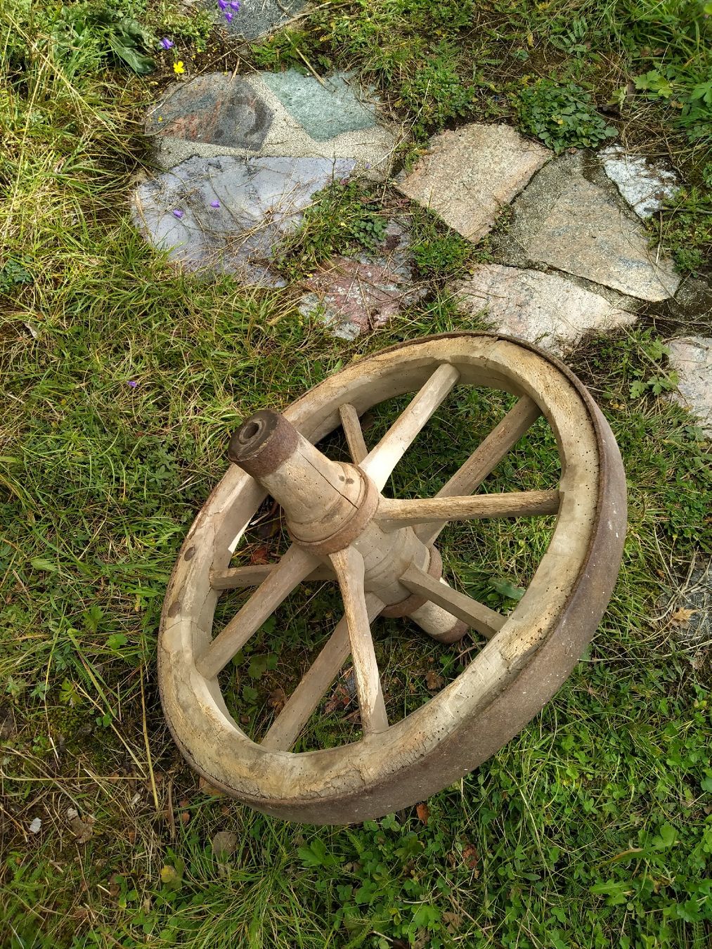 Pneumatici & Ruote complete: Roue de brouette – Usato da Miège venduto da sorman 1