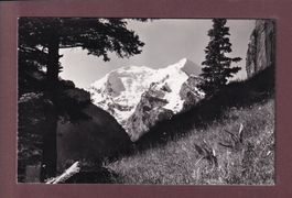 BALMHORN und ALTELS vom Allmen aus - 1961