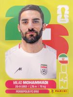 Panini FIFA World Cup IRN 5