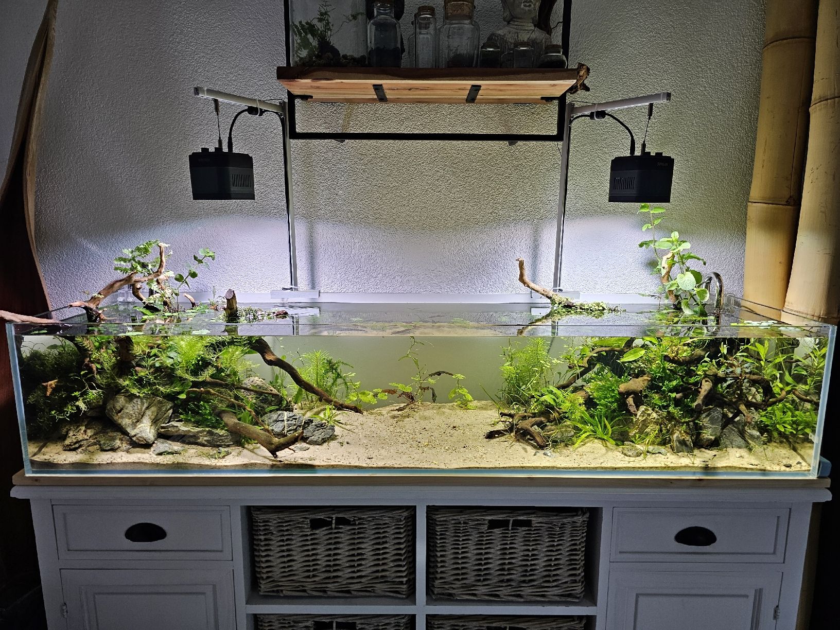 Aquarium: Aquascaping Shallow Poolaquarium – Gebraucht aus Obergerlafingen von Deluxepoint 5