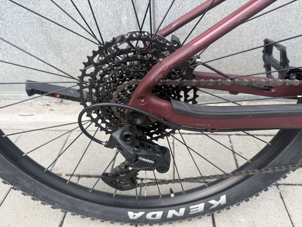 Scott Biciclette: Scott Contessa mit Bosch Performance Line CX Motor – Usato da Oberentfelden venduto da bbe_nk5x 9
