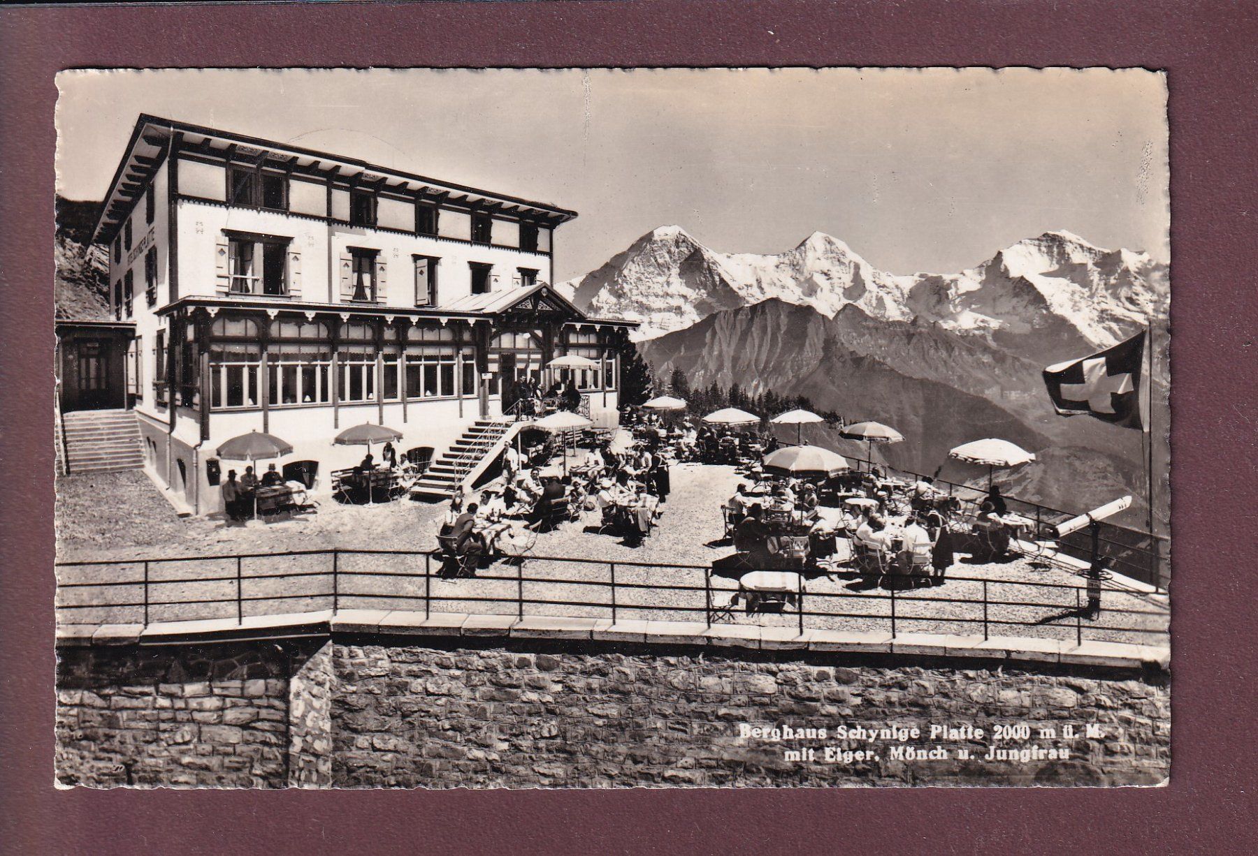 Cartoline postali: Berghaus SCHYNIGE PLATTE - 1952 – Usato da Pully venduto da nicecards