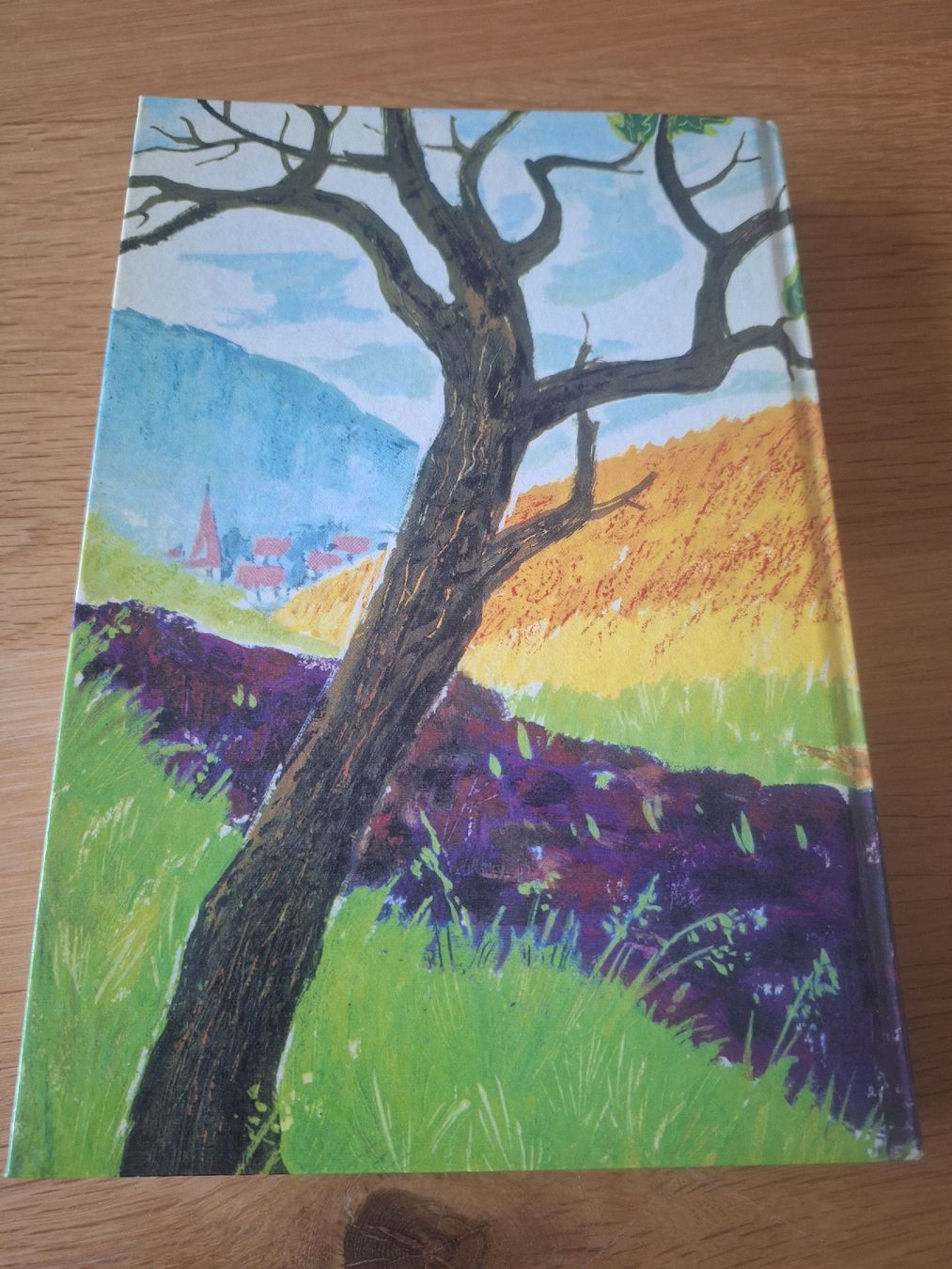 Bücher: Buch Gritli Johanna Spyri – Gebraucht aus Wanzwil von chlinih93 1