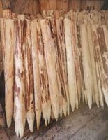 Holzpfähle
