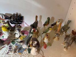 Vogel Figuren Sammlung Porzellan gebraucht 20 Stk