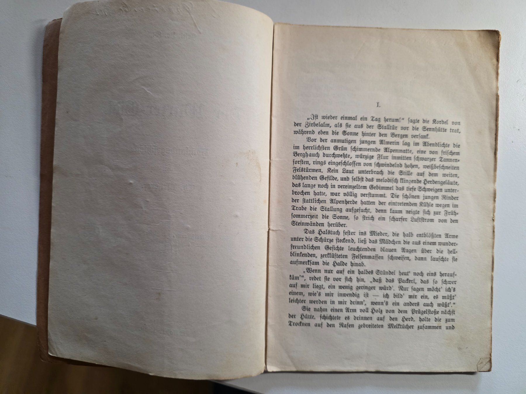 Libri: Der Wurzer-Gidi - Th. Messerer - 1909 – Usato da Walterswil BE venduto da Lonitti 1