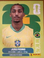 Panini BRA16