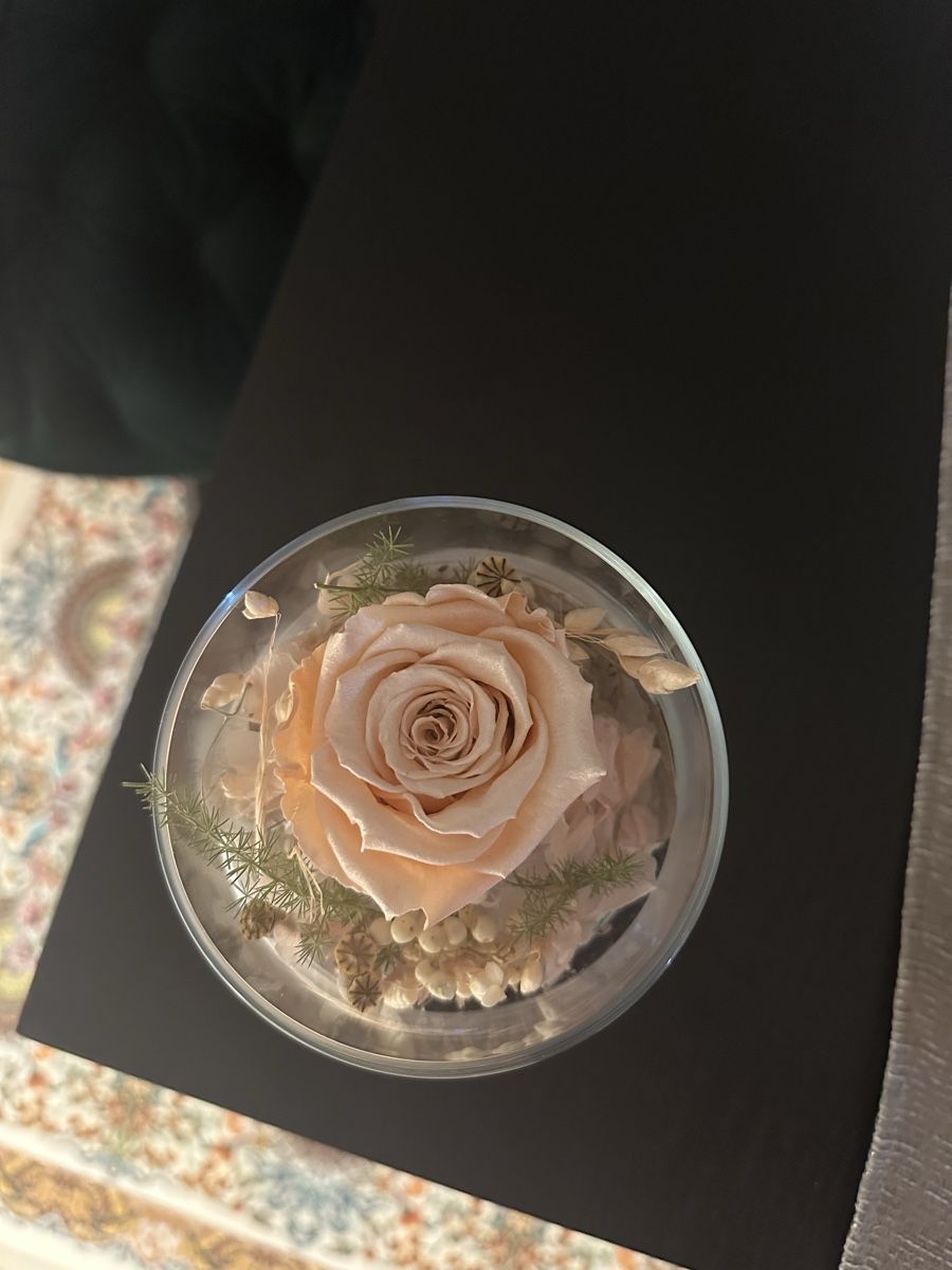 Tutte le decorazioni: Vase Glasglocke getrocknete Rose – Nuovo (secondo la descrizione) da Luzern venduto da ariazalea 3