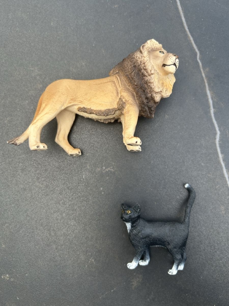 Schleich Spielzeuge: Schleich Tiere – Neu (gemäss Beschreibung) aus Lostorf von Venice16