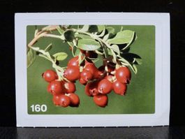 MIGROS MANIA Nature Detectives Nr. 160