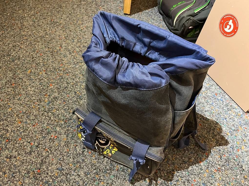 Borse & Zaini: Schulrucksack Rebel – Usato da Teufenthal AG venduto da and_rea7 1