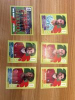 Panini 2026 - 6 POR
