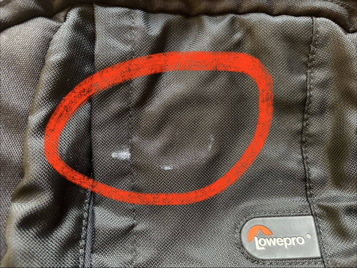 Lowepro Rucksäcke: Lowepro Kamerarucksack – Gebraucht aus Busswil BE von Ludmilleli 8