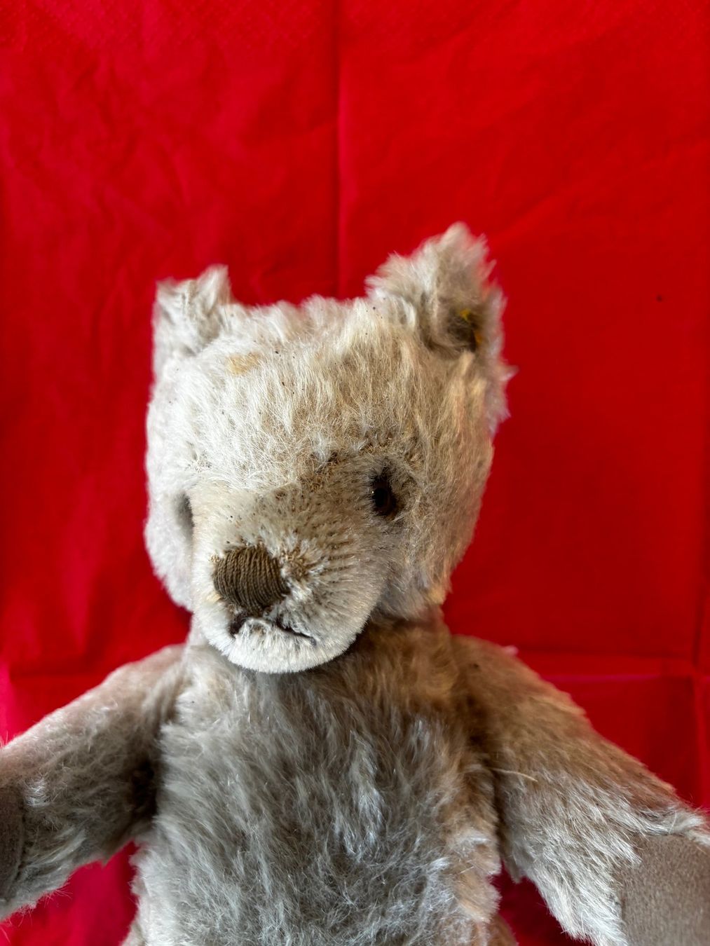 Steiff Jouets: Teddybär «STEIFF» – D'occasion à Büetigen par castellino 3