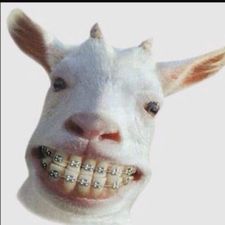 Profile image of Muck3