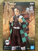 🔥Demon Slayer Figur Tanjiro NEU Natur Colours Inkl. Box NEU
