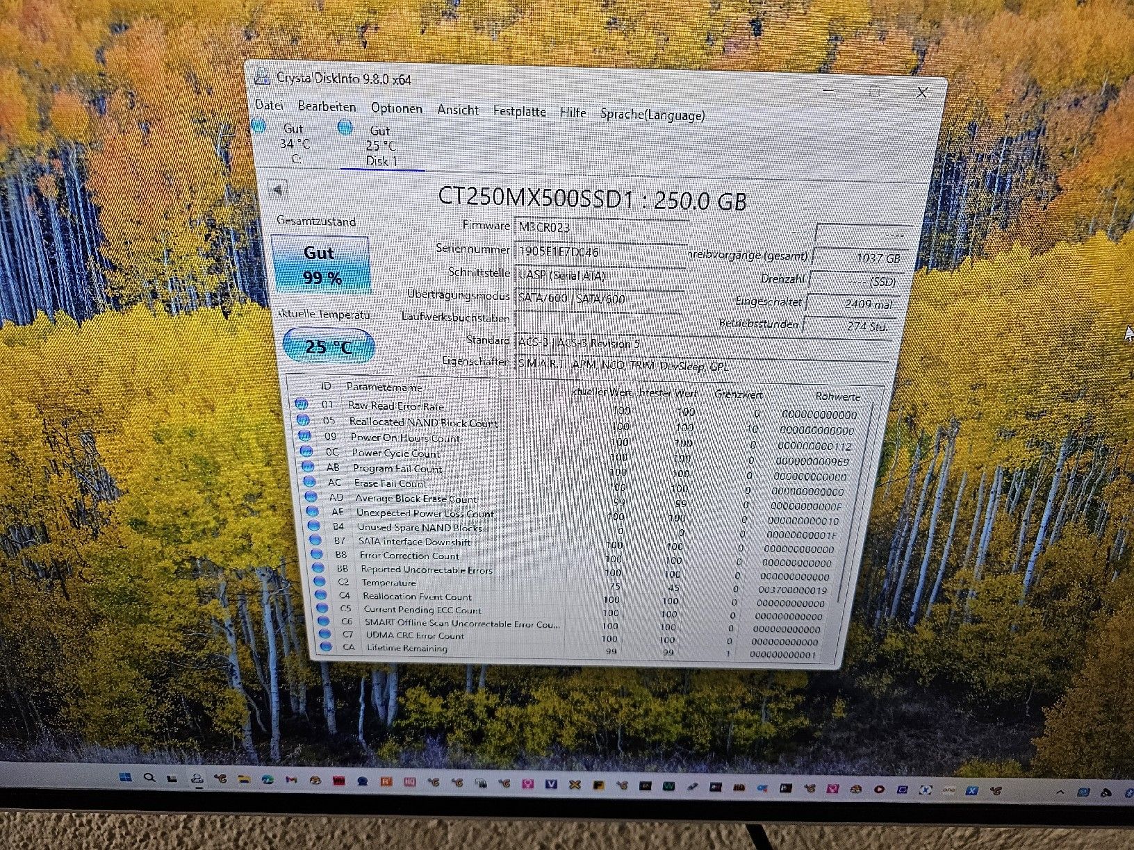 Dischi rigidi: 4 Festplatten a 250 Gb – Usato da Burgdorf venduto da weggu.666 3