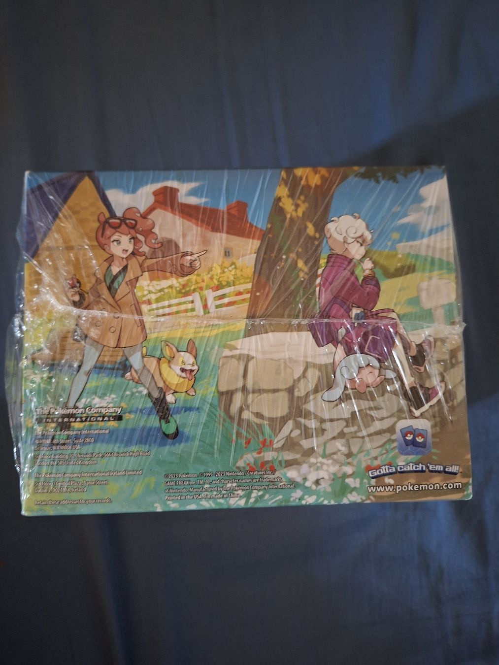 Pokémon Carte collezionabili: Crown Zenith: Mini Tin Display – Nuovo (secondo la descrizione) da Villars-le-Terroir venduto da kar_f7xy 2